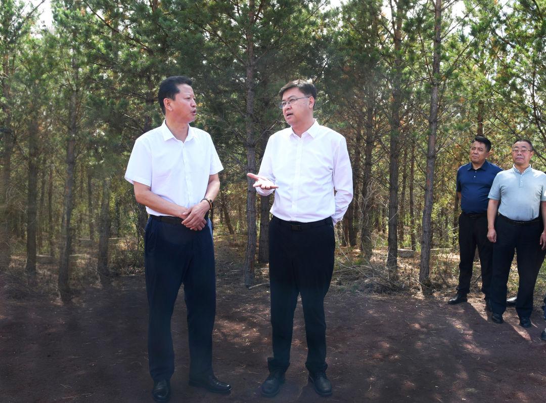 张佰成到多伦县、正蓝旗调研经济社会发展和浑善达克沙地治理情况